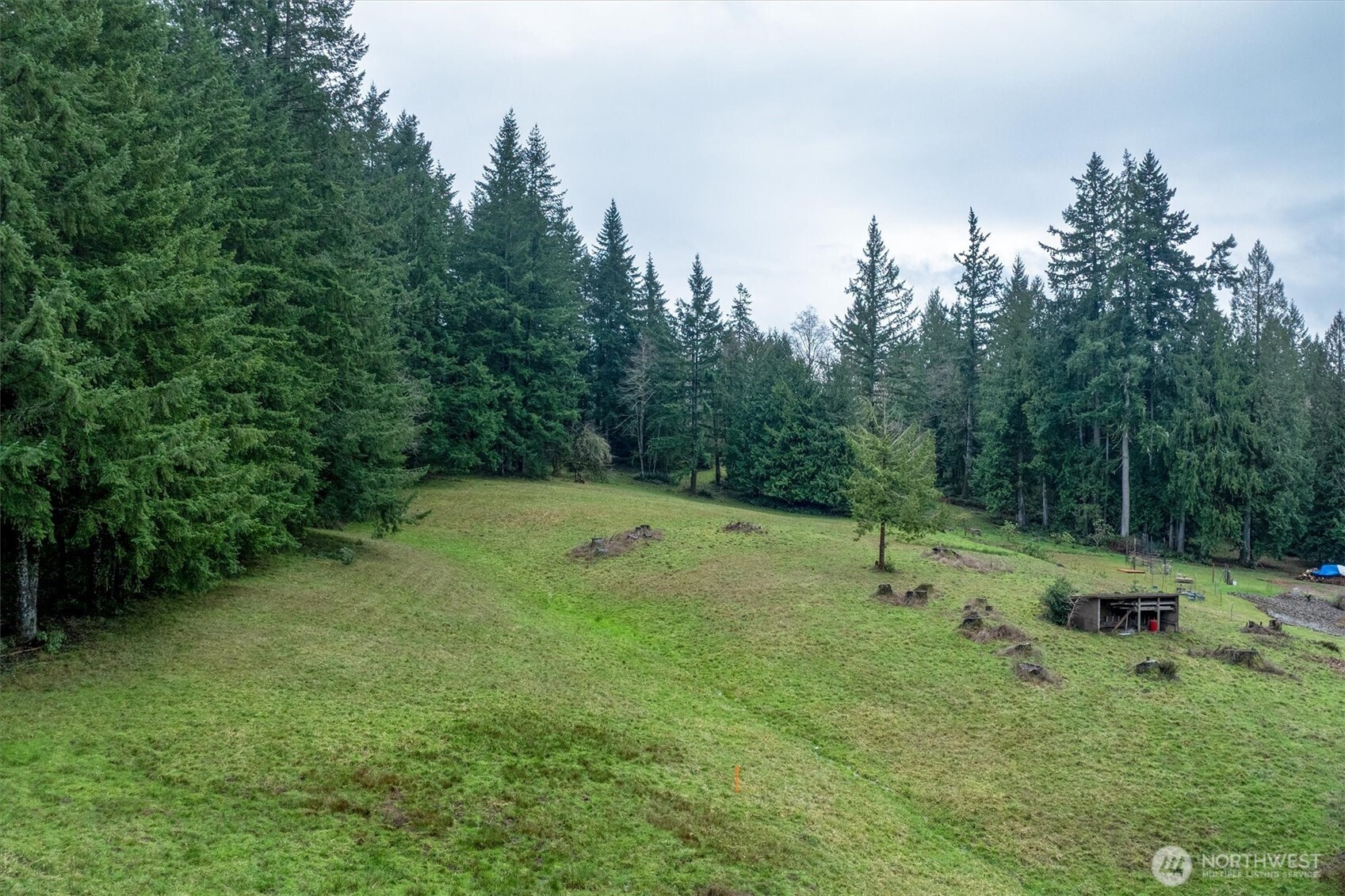 0 Bodine Road Kelso, WA 98626 - Photo 9 of 27 Gallery Image 9
