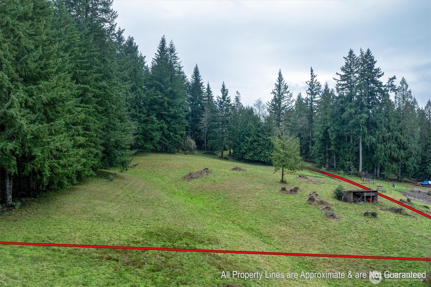 0 Bodine Road Kelso, WA 98626 - Photo 10 of 27 Gallery Image 10
