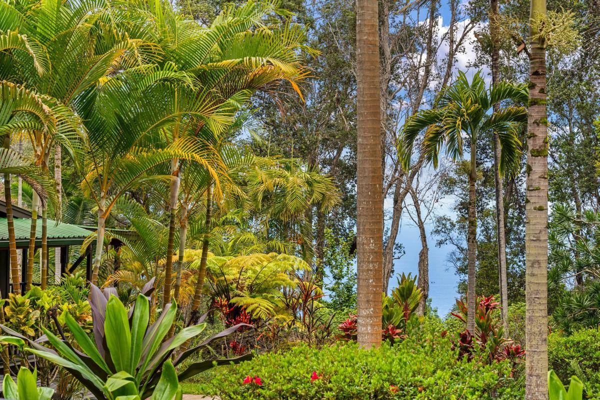 87-368 Kaohe Mauka Road Captain Cook, HI 96704 - Photo 15 of 30