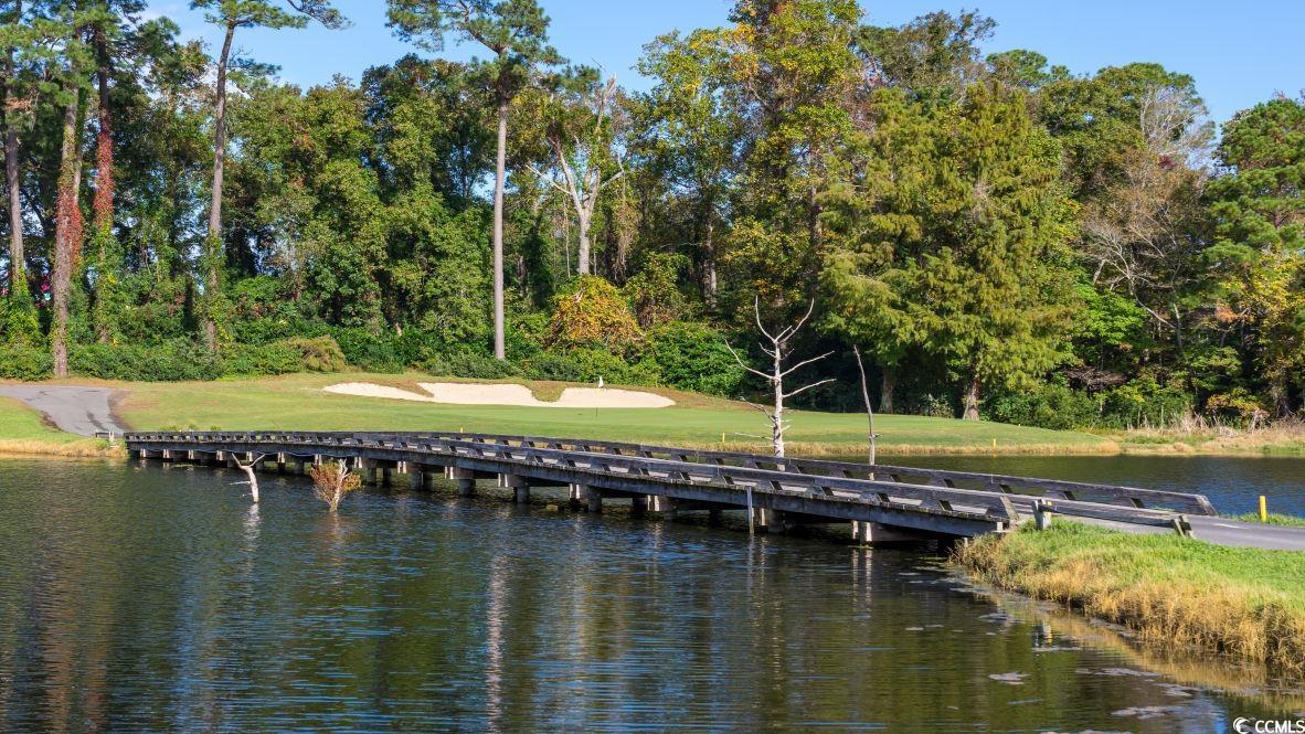 8010 Bear Claw Way Conway, SC 29526 - Photo 29 of 29