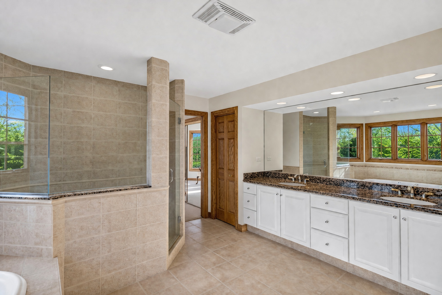 2321 Coach Road Long Grove, IL 60047 - Photo 47 of 83 a bathroom with a granite countertop sink a mirror and a shower