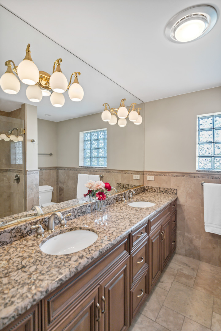 2321 Coach Road Long Grove, IL 60047 - Photo 58 of 83 a bathroom with a granite countertop sink and a large mirror