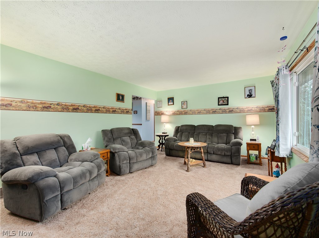 8811 North Kane Road Wadsworth, OH 44281 - Photo 5 of 26 Gallery Image 5