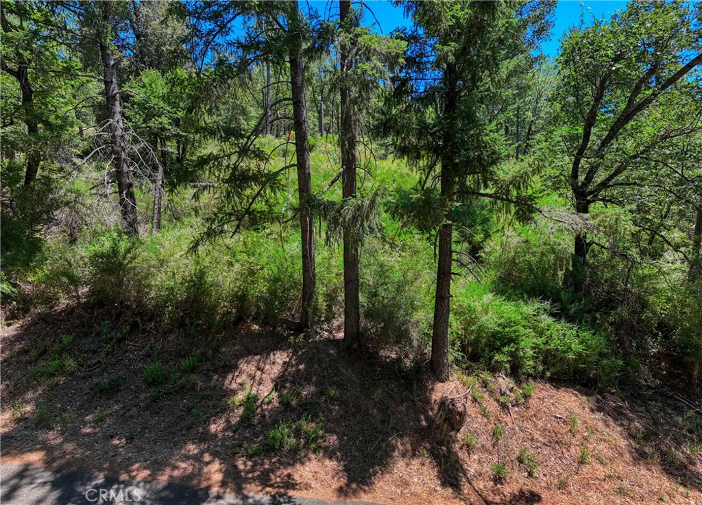 12548 Observation Road Middletown, CA 95461 - Photo 13 of 19