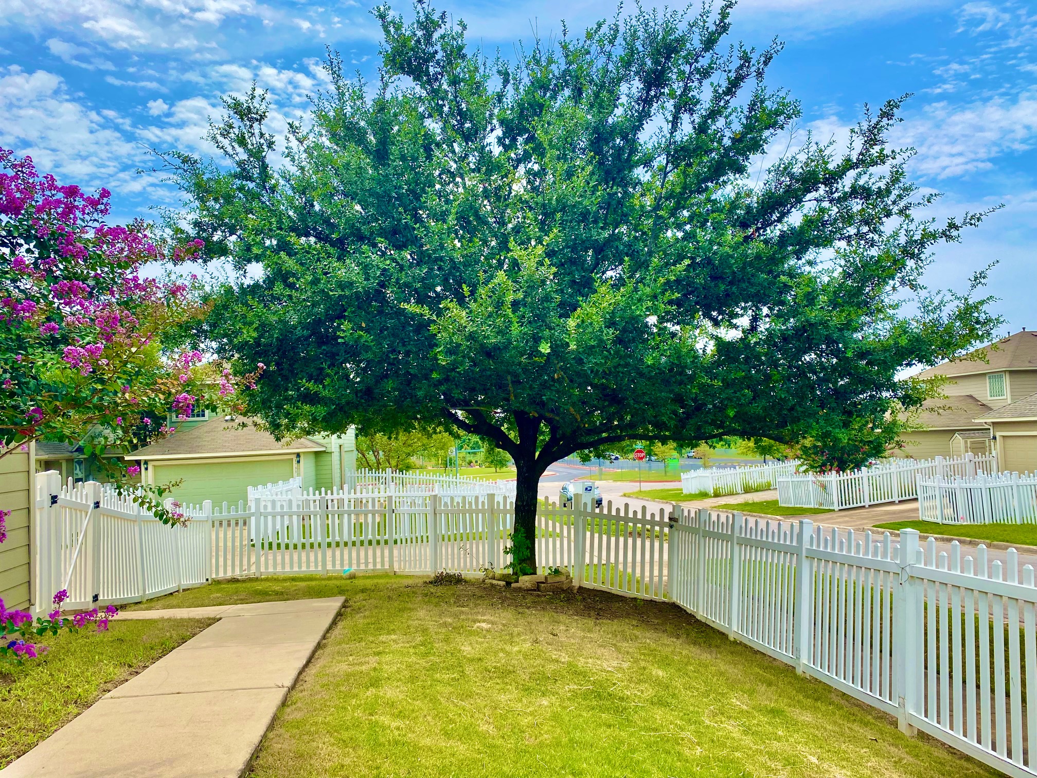 1000 Berry Bend Path Round Rock, TX 78664 - Photo 18 of 20 A quaint white picket fence embraces a well-maintained lawn and mature tree under a bright sky.