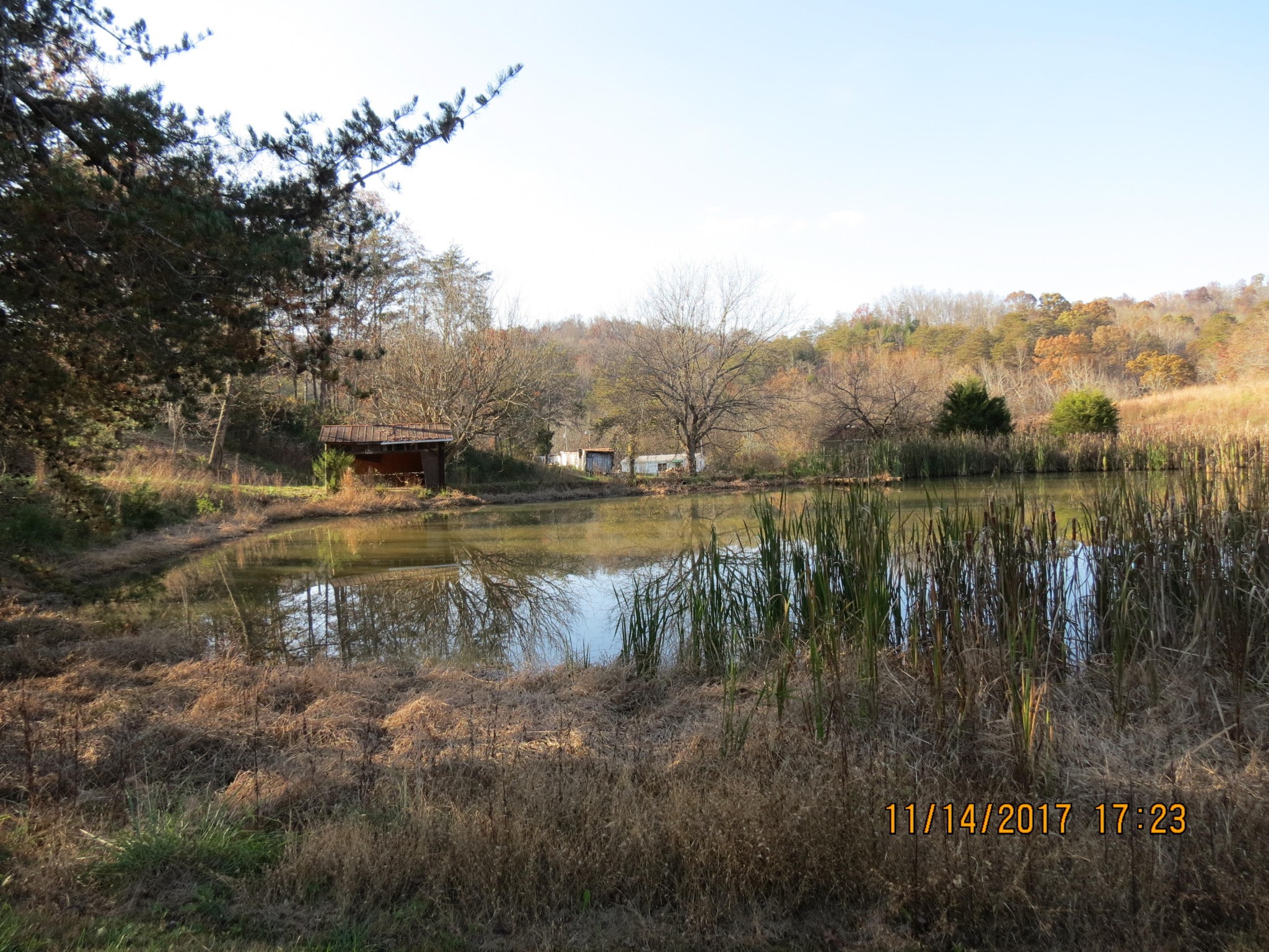 2008 Baldwin Cate Road New Market, TN 37820 - Photo 7 of 15 Gallery Image 7
