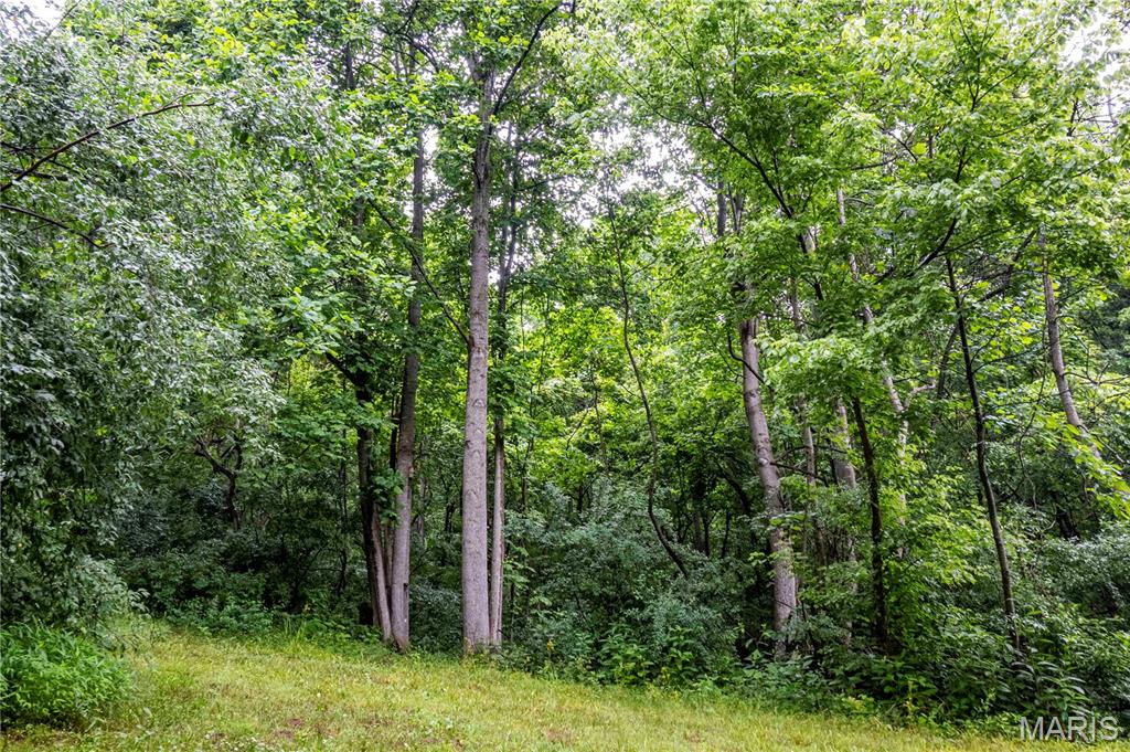 19326 Old Delta Road Tamms, IL 62988 - Photo 58 of 81