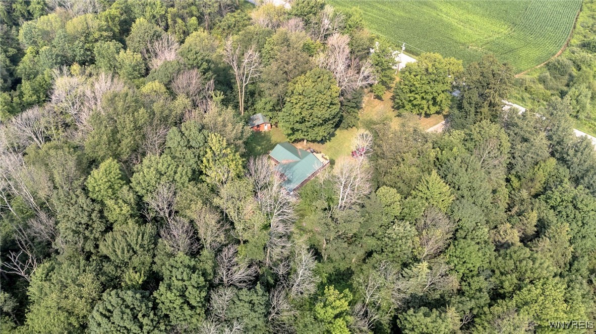 1834 Comet Road Warsaw, NY 14569 - Photo 4 of 24