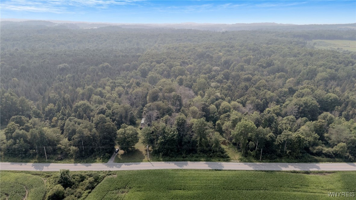 1834 Comet Road Warsaw, NY 14569 - Photo 5 of 24