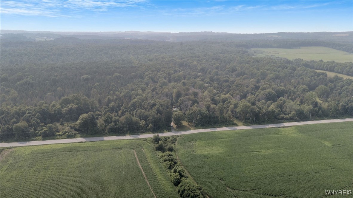 1834 Comet Road Warsaw, NY 14569 - Photo 6 of 24