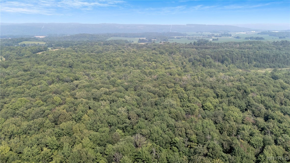 1834 Comet Road Warsaw, NY 14569 - Photo 7 of 24