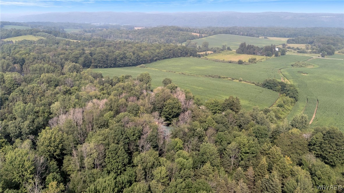 1834 Comet Road Warsaw, NY 14569 - Photo 8 of 24