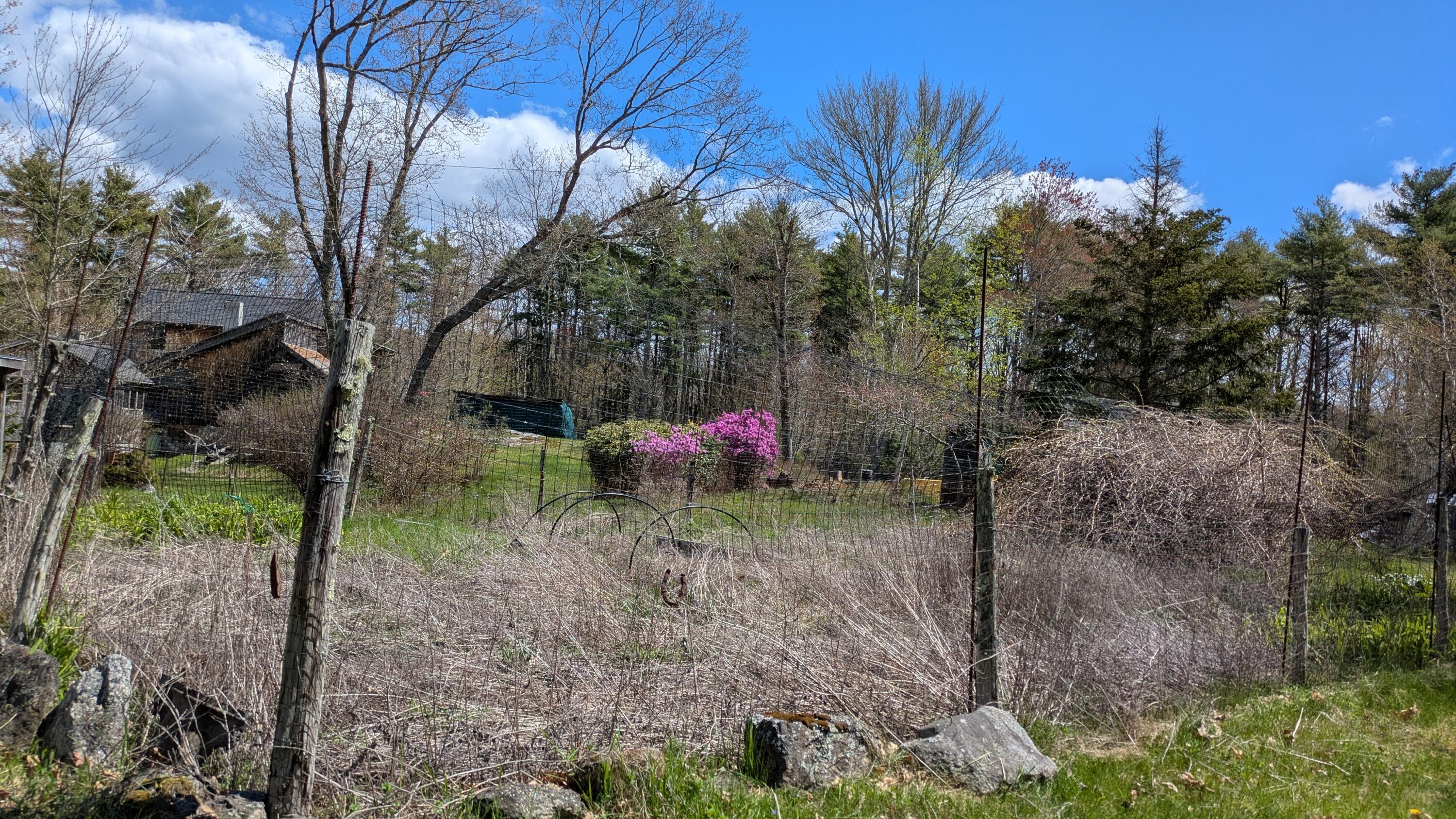 43 Flying Point Road Georgetown, ME 04548 - Photo 56 of 64 PXL_20260512_145915715