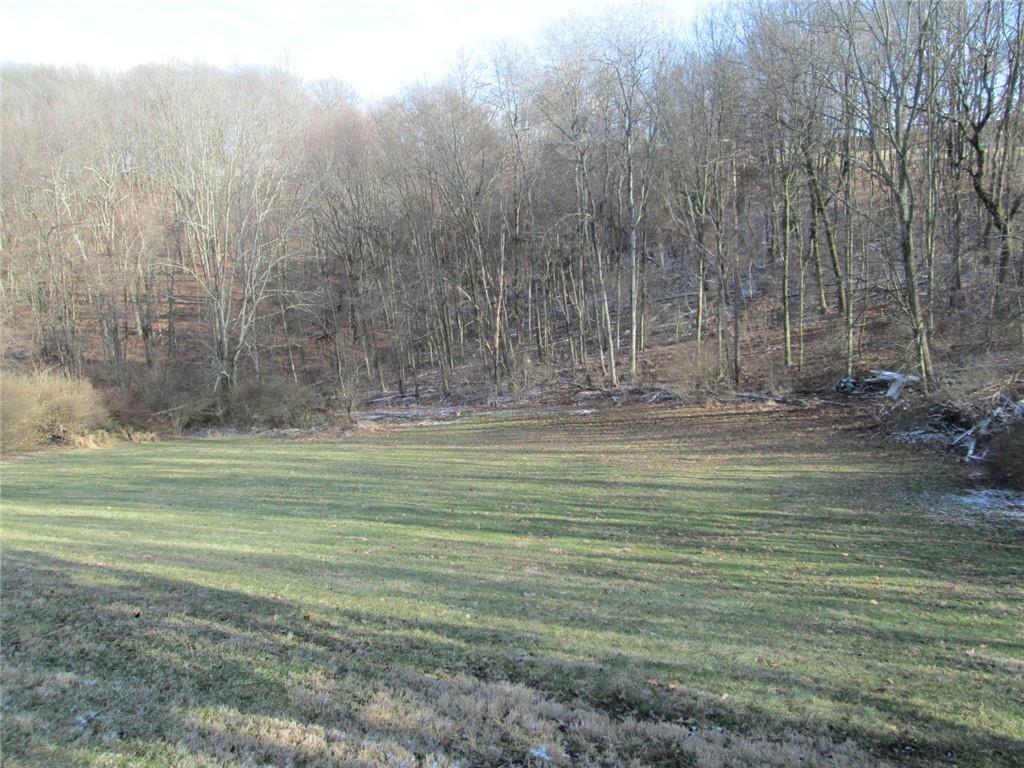 1651 Freeport Road Kittanning, PA 16201 - Photo 5 of 11 a view of a field of grass and trees