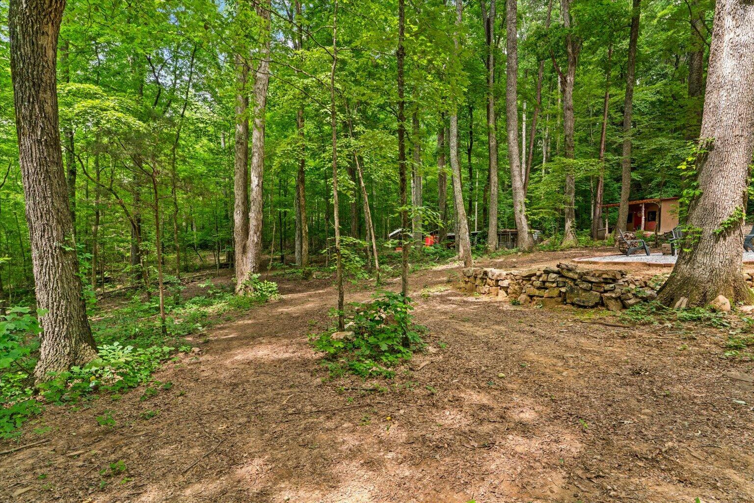 307 Smith Mountain Road Dunlap, TN 37327 - Photo 39 of 52 41-DSC02187