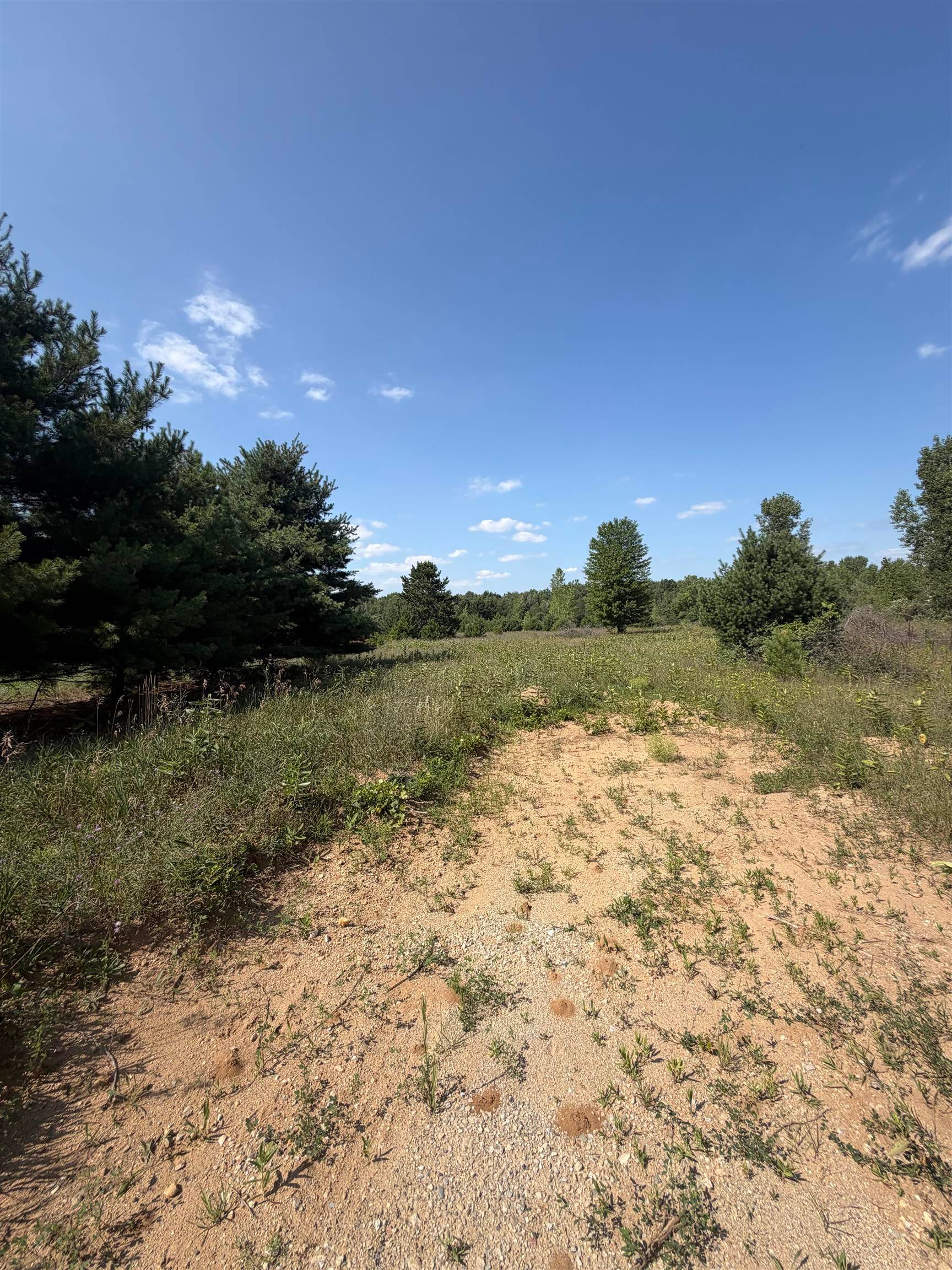 V/l Ambrose Road Mayville, MI 48744 - Photo 4 of 11 Gallery Image 4