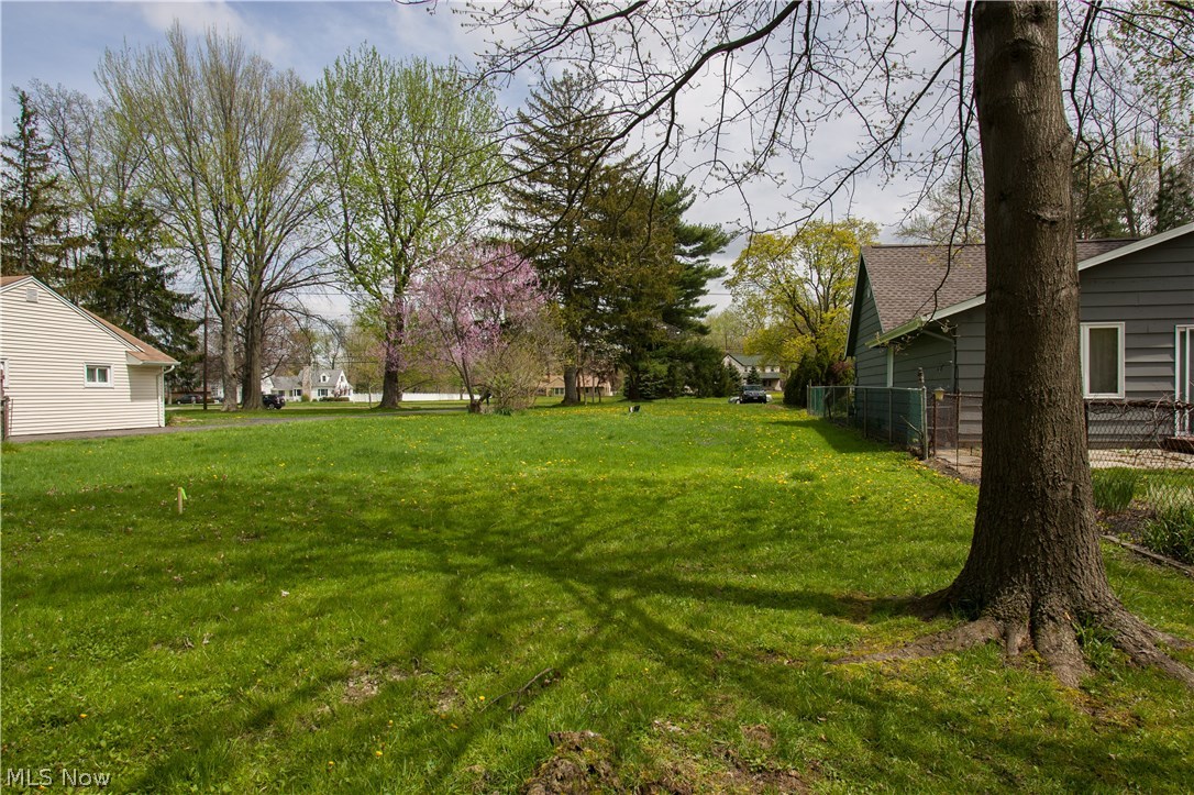 584 Prospect Road Berea, OH 44017 - Photo 3 of 4 584 Prospect Street, taken from the back of the lot looking towards Prospect Street.