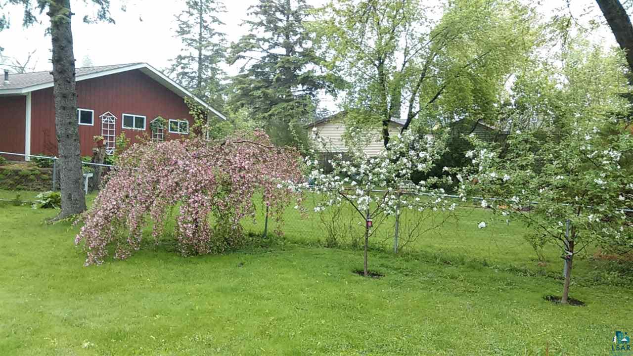 5047 London Road Duluth, MN 55804 - Photo 22 of 24 Fruit Trees