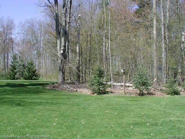3049 Tozer back yard
