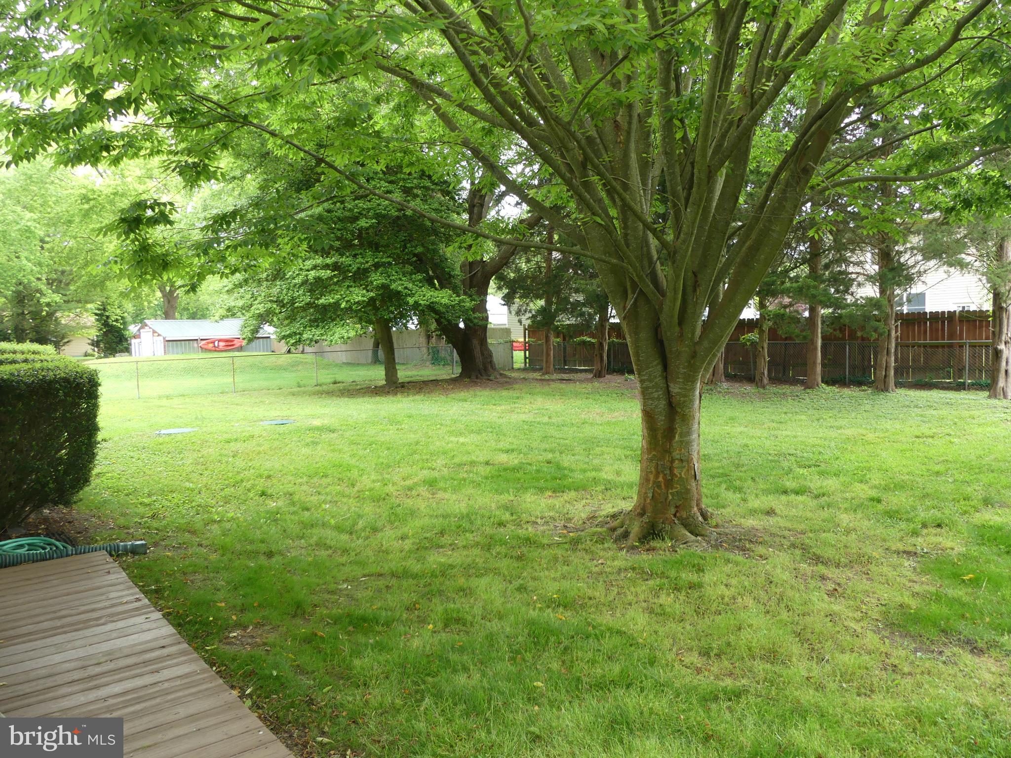 2635 York Road Lewes, DE 19958 - Photo 7 of 30 Yard