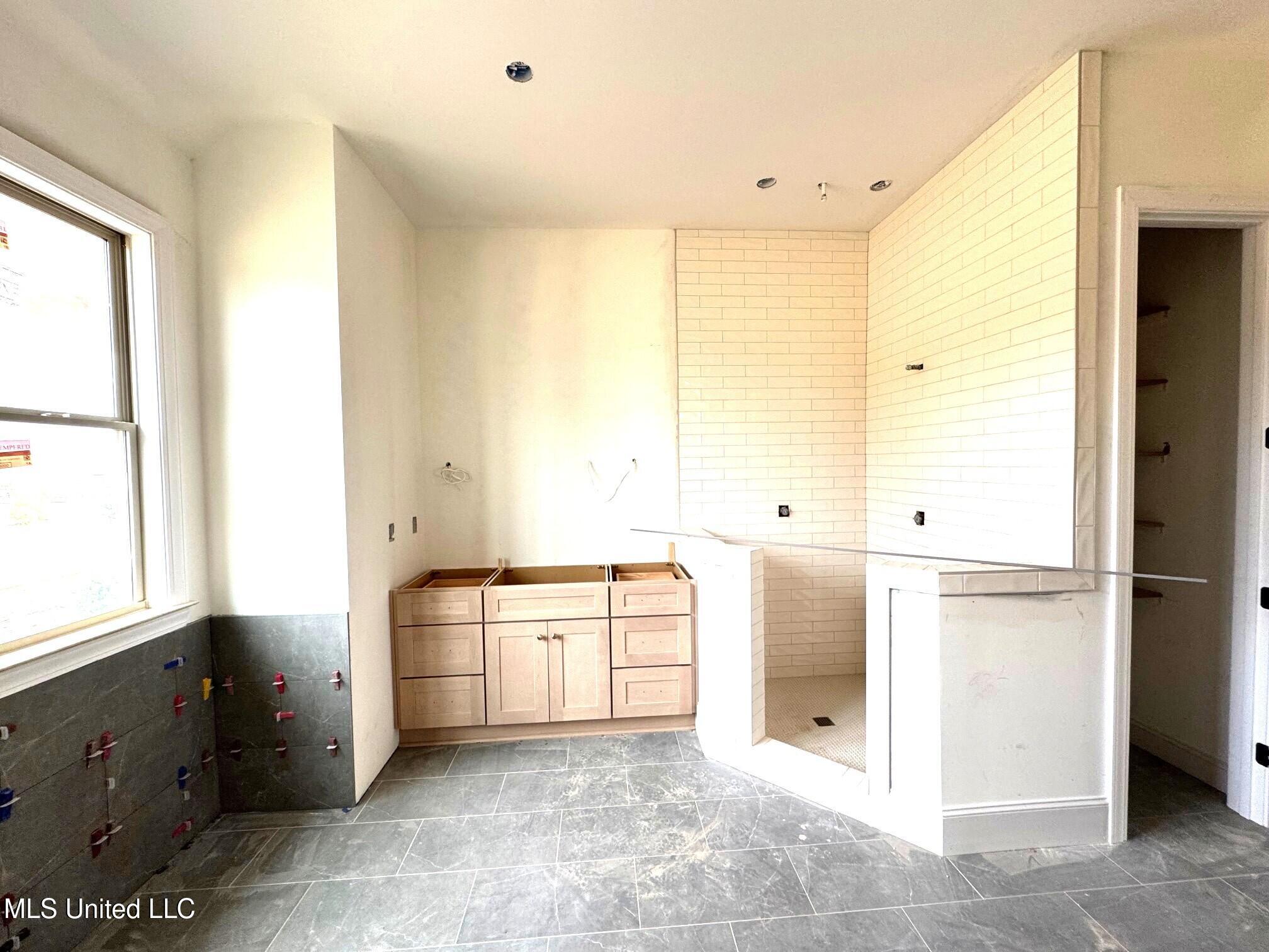 2035 Livingston Way Hernando, MS 38632 - Photo 4 of 10 Primary Bathroom a