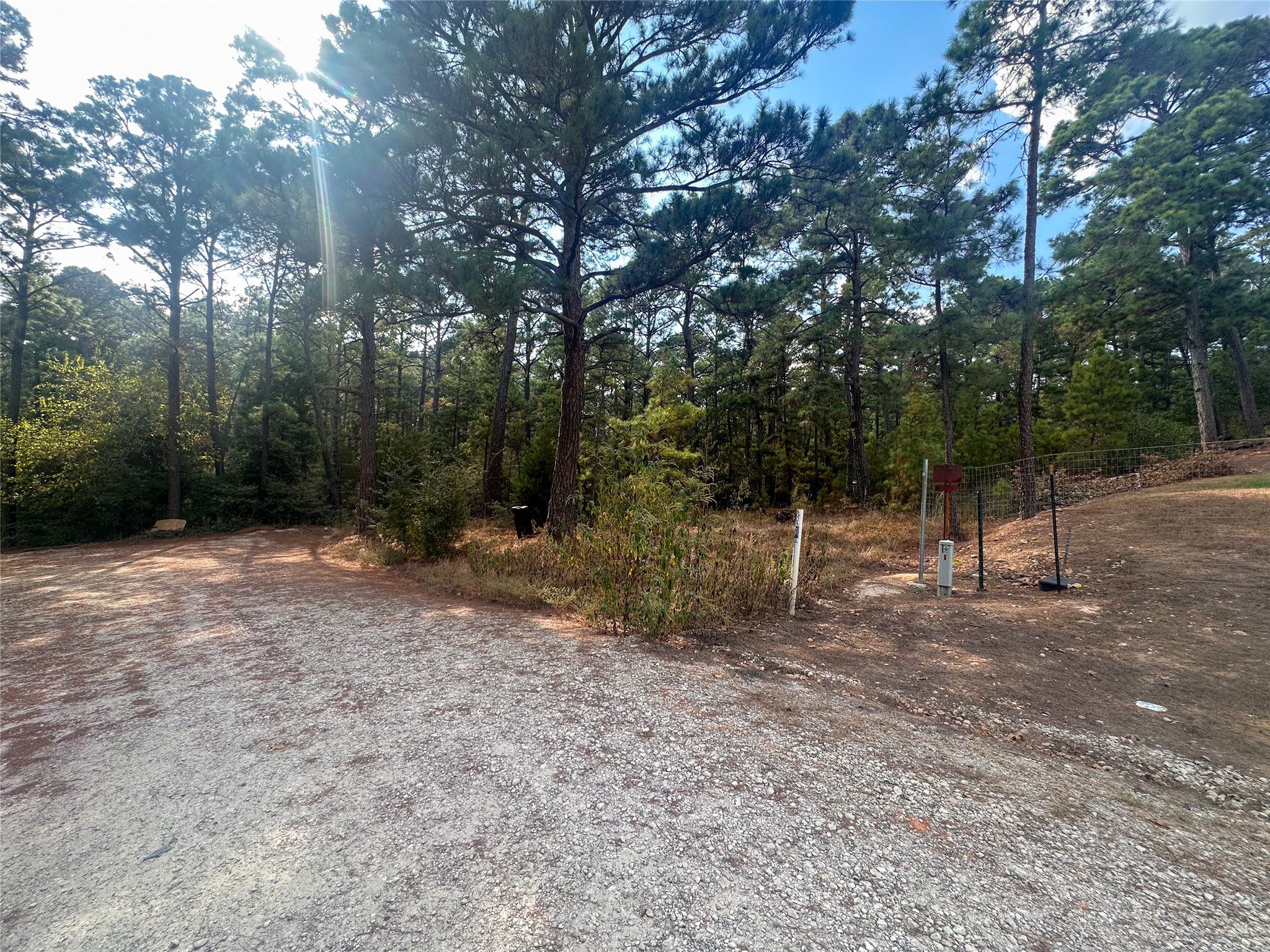 Lot 84 Hill Ridge Drive Bastrop, TX 78602 - Photo 5 of 15 a view of a forest with trees in the background