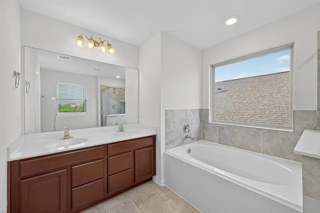 a bathroom with a tub a sink double vanity and a mirror