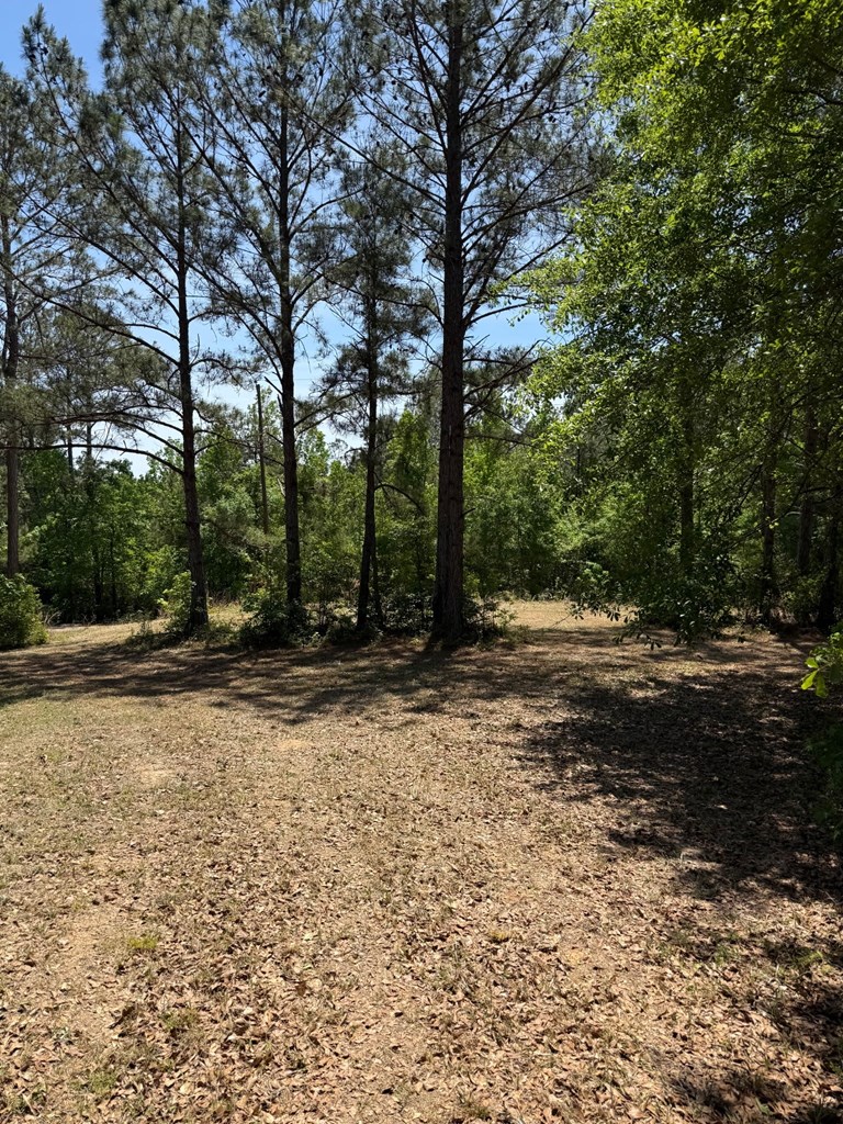 0 County Road 50 Abbeville, AL 36310 - Photo 4 of 9