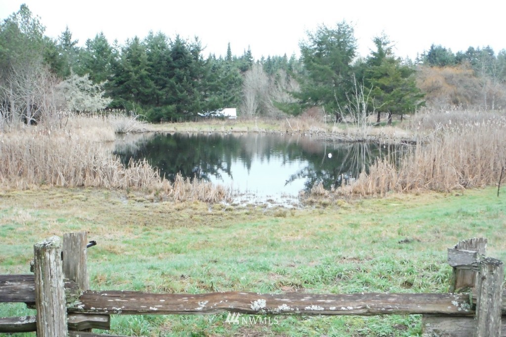263 Oxenford Road Port Angeles, WA 98363 - Photo 4 of 23 Gallery Image 4