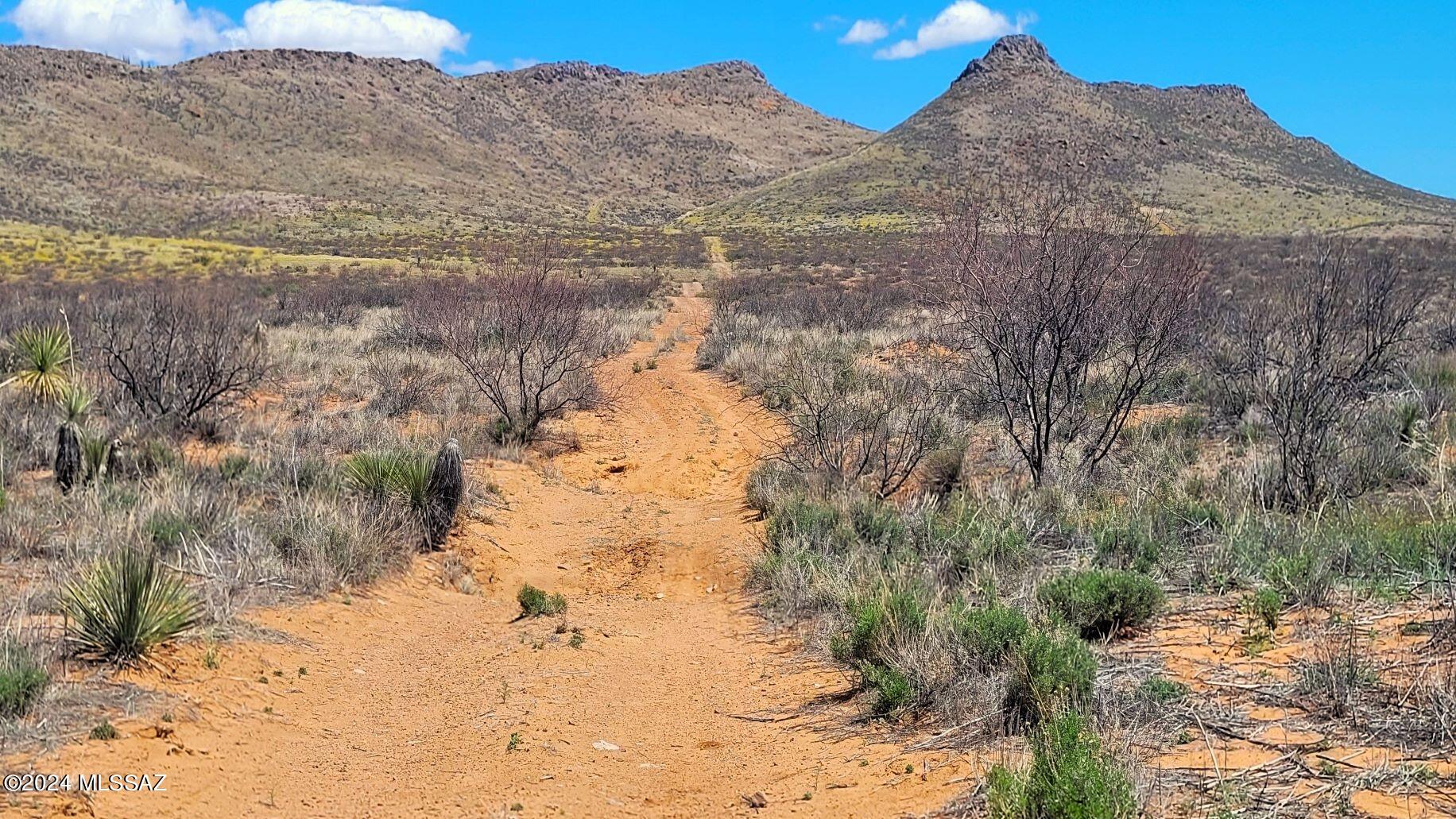 20 Ac Off Mule Deer Road Pearce, AZ 85625 - Photo 16 of 19