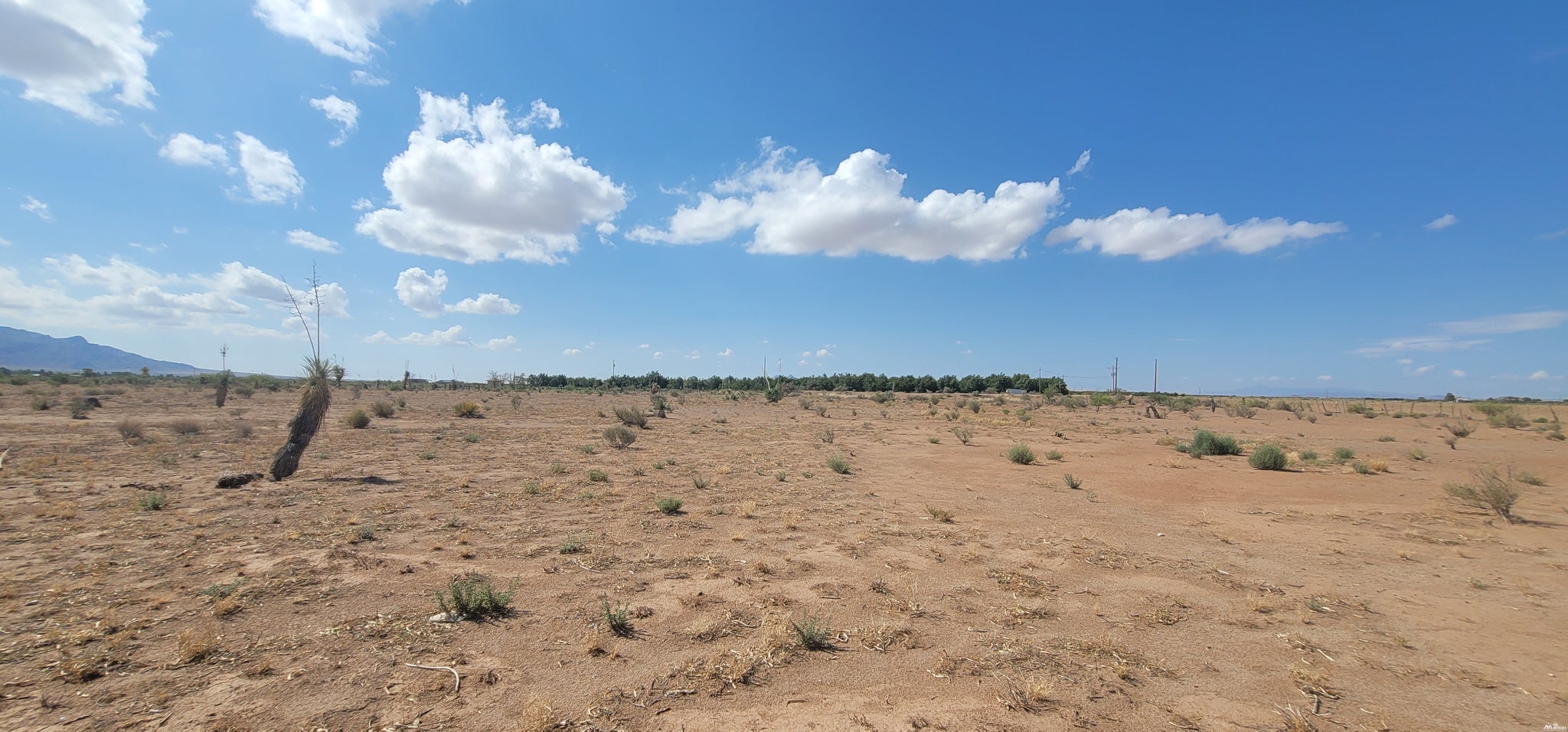 0 Purple Sage Road Southwest Deming, NM 88030 - Photo 6 of 6 Gallery Image 6