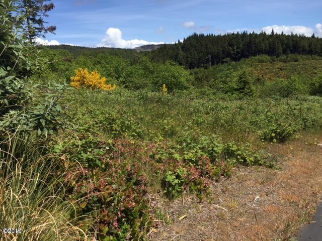 Lot16 Northeast Spring Avenue Depoe Bay, OR 97341 - Photo 13 of 31 East view