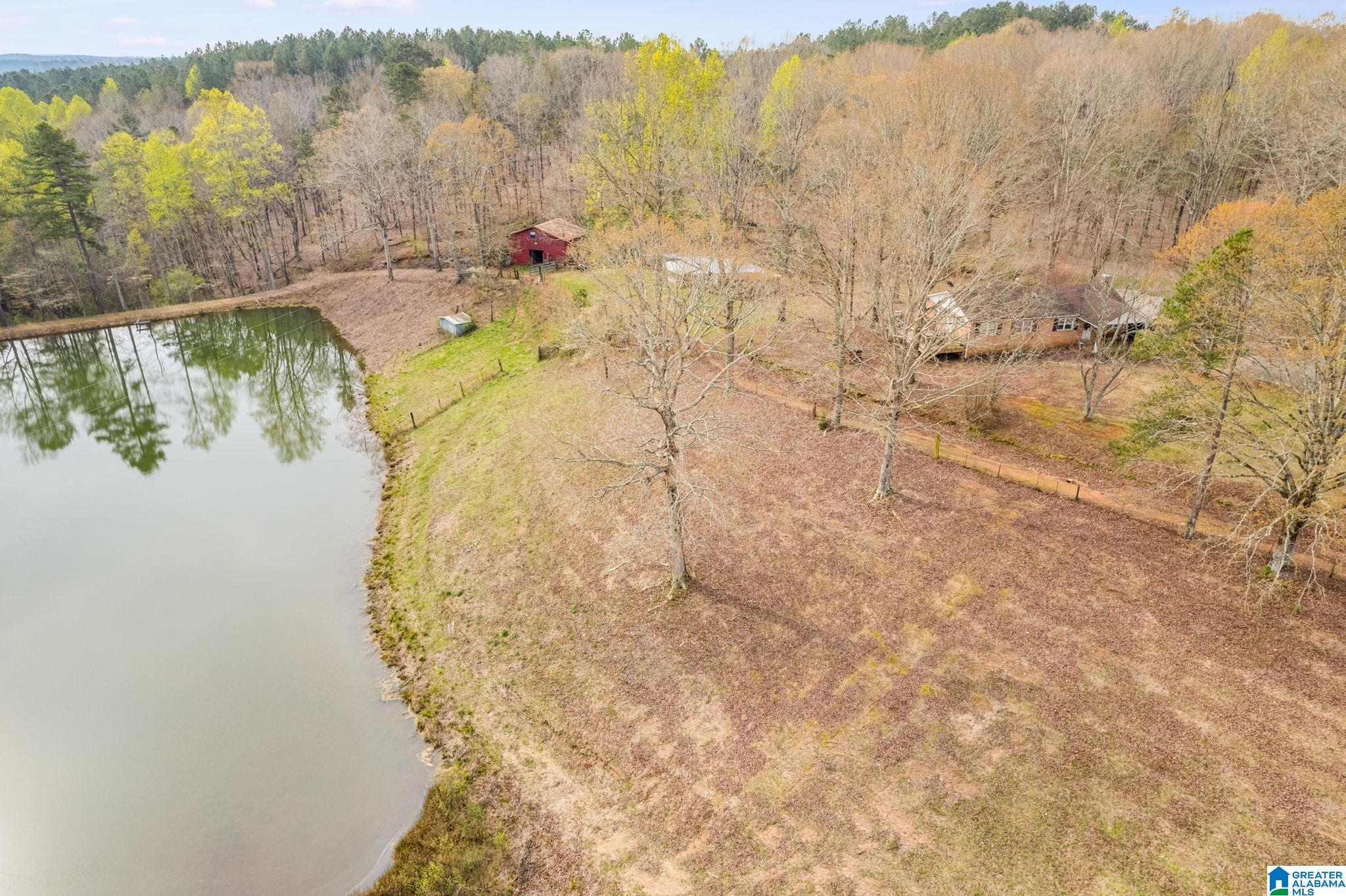 820 Lees Bridge Road Delta, AL 36258 - Photo 6 of 34 Gallery Image 6