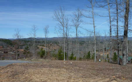 29 Brasstown View Road Murphy, NC 28906 - Photo 1 of 1 Main View