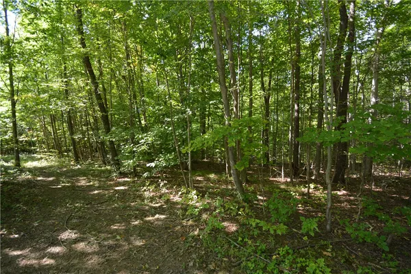 $80,000 | 6495 Edson Road, Naples, NY 14512