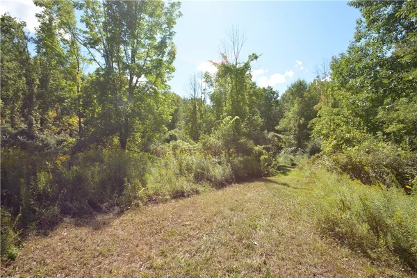 $80,000 | 6495 Edson Road, Naples, NY 14512