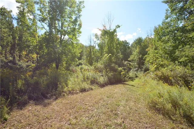 $80,000 | 6495 Edson Road, Naples, NY 14512