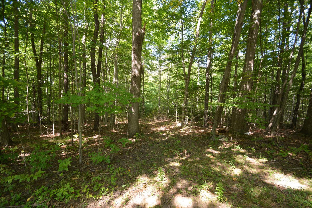 6495 Edson Road Naples, NY 14512 - Photo 4 of 23