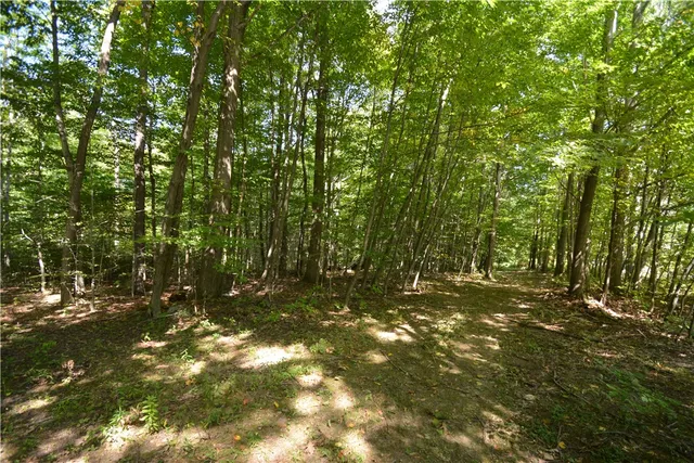 $80,000 | 6495 Edson Road, Naples, NY 14512