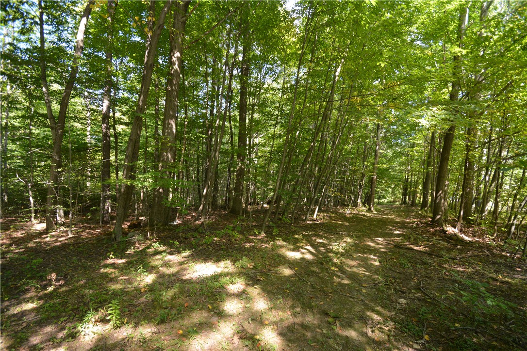 6495 Edson Road Naples, NY 14512 - Photo 5 of 23