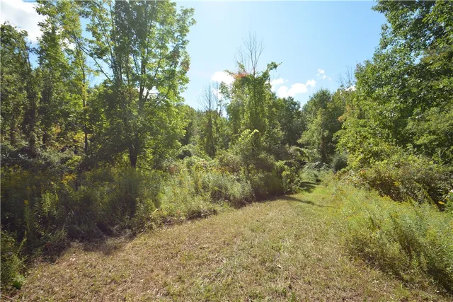 $80,000 | 6495 Edson Road, Naples, NY 14512