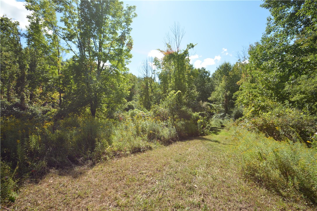 6495 Edson Road Naples, NY 14512 - Photo 6 of 23