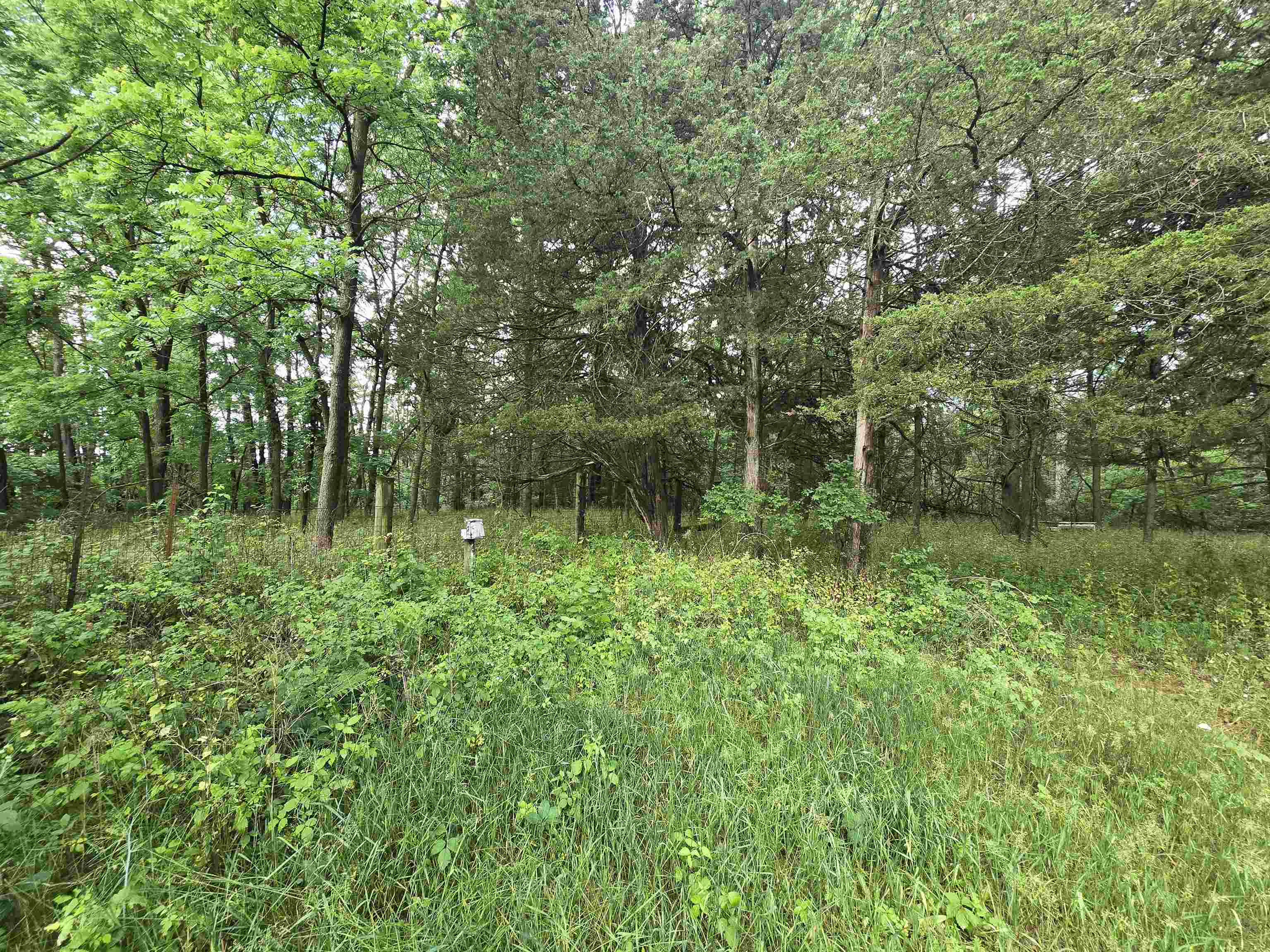 W11530 County Rd C Hancock, WI 54943 - Photo 41 of 42