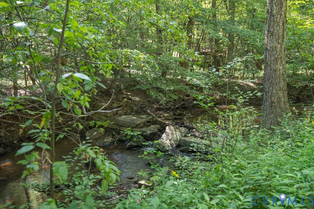 2900 Pleasantwood Road Powhatan, VA 23139 - Photo 58 of 76 Jones Creek