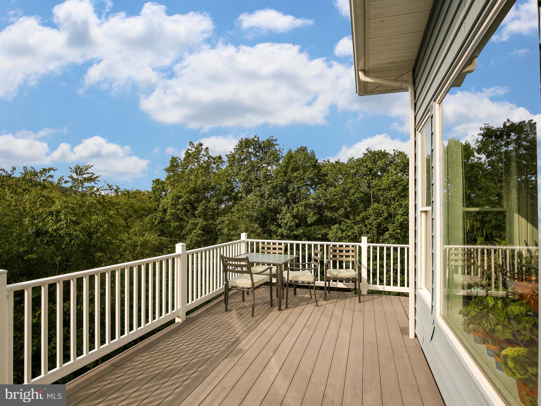 25 Jenkins Road Gerrardstown, WV 25420 - Photo 44 of 61 1100 sq ft of Trex decking!