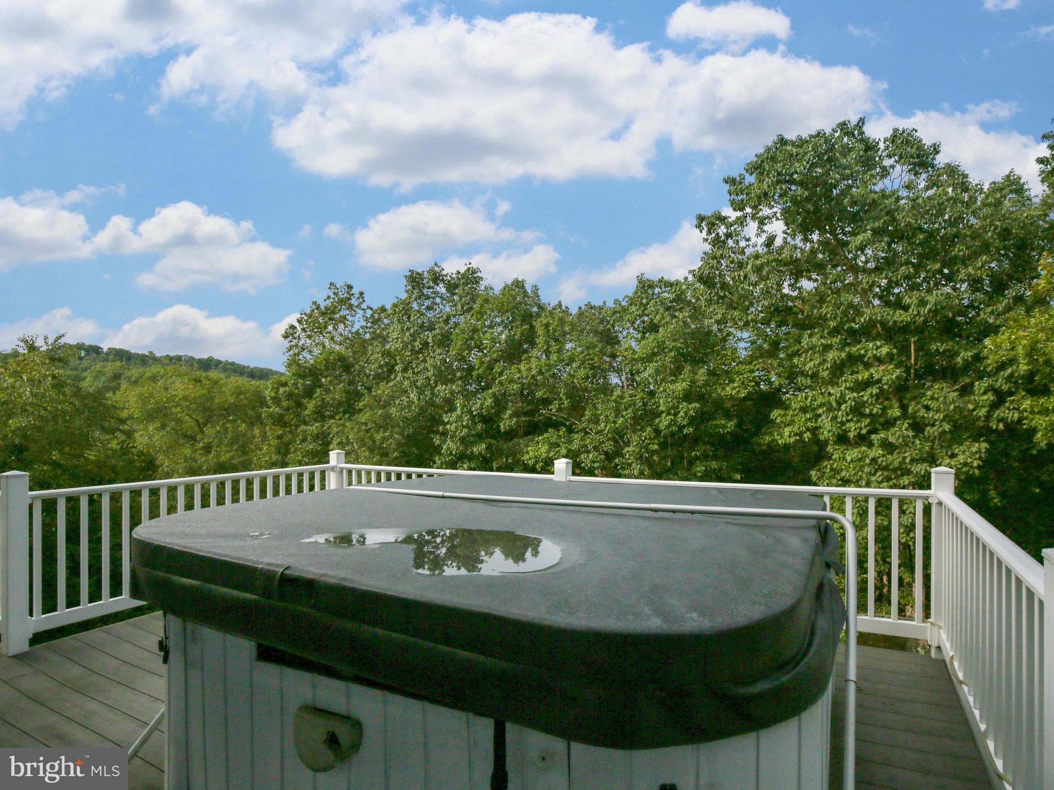 25 Jenkins Road Gerrardstown, WV 25420 - Photo 49 of 61 Hot tub conveys! Sits outside primary bedroom