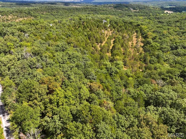 $620,000 | 2381 Rock N Horse S Drive, Festus, MO 63028