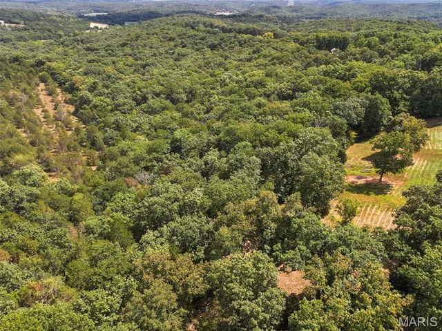 $620,000 | 2381 Rock N Horse S Drive, Festus, MO 63028