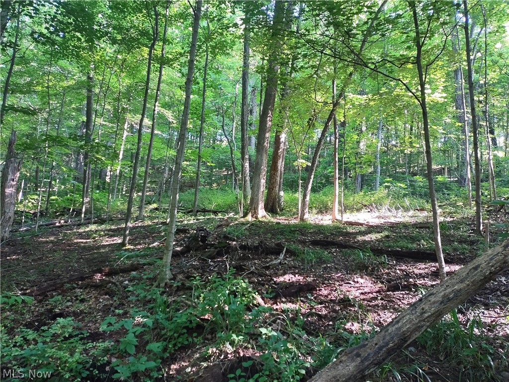 1511 Snowbird Road West Union, WV 26456 - Photo 23 of 26 More trails on prperty