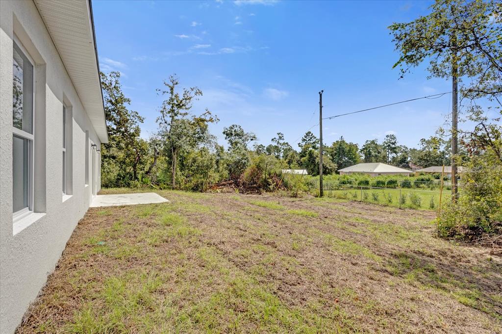 2396 Southwest 147th Lane Road Ocala, FL 34473 - Photo 26 of 32 a view of a yard with plants and a trees